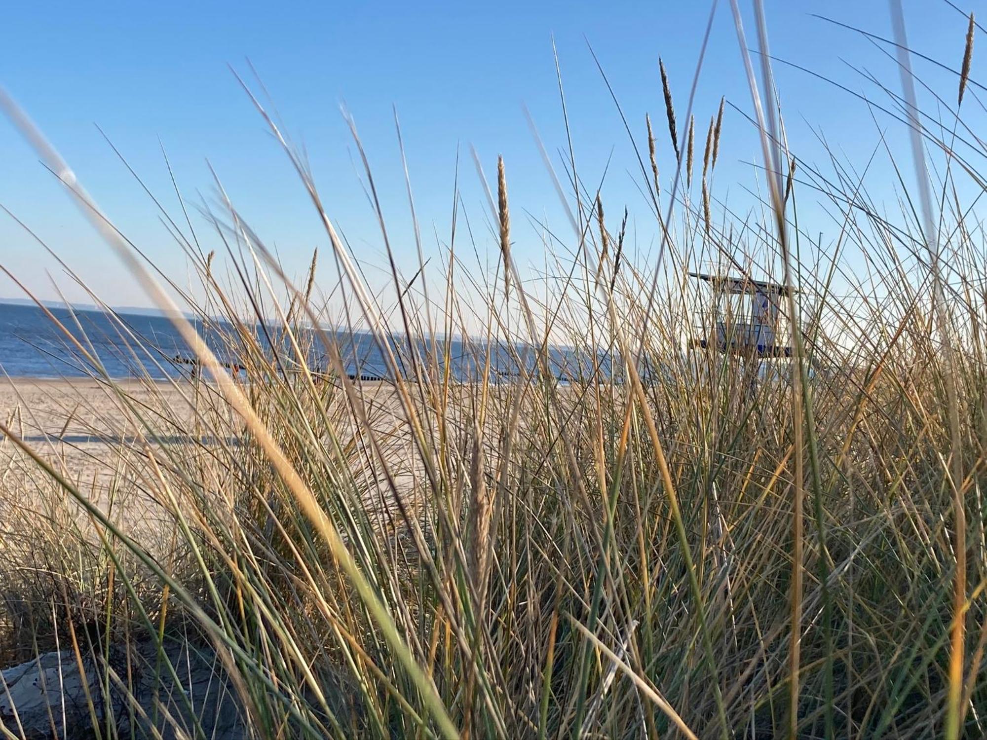 Ferienwohnungen Ostsee & Mehr Heringsdorf  Esterno foto